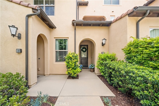 view of exterior entry featuring stucco siding and a patio