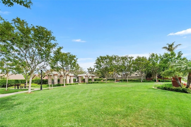 3116 Windhaven Way, Corona, CA 92882 - view of green lawn featuring a pergola