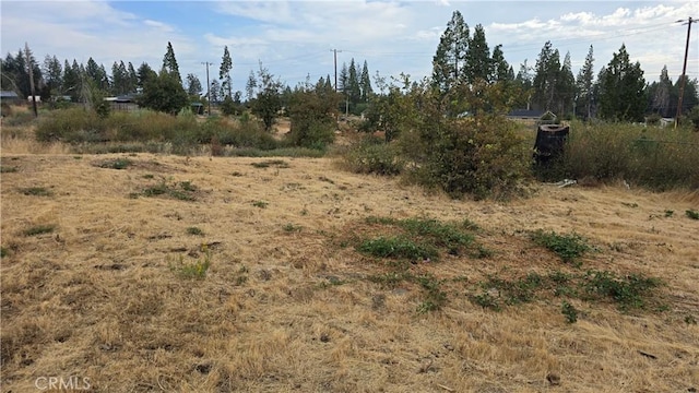 6459 Kingsdale Ct, Magalia, CA 95954 - photo 7