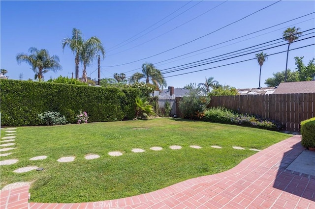 view of yard featuring a patio area