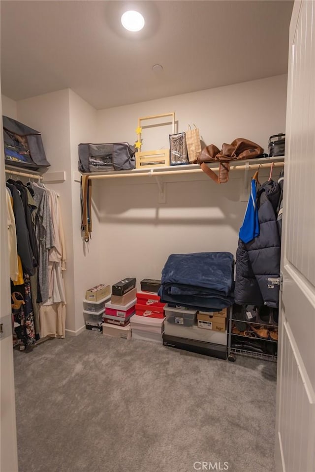 1810 Park Place Ln, Riverside, CA 92501 - walk in closet featuring carpet