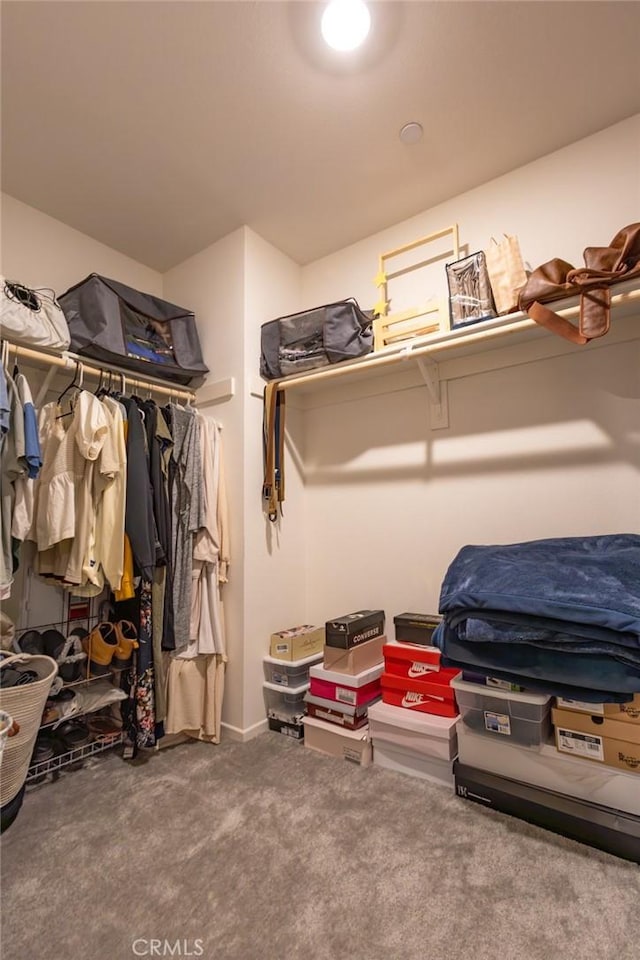 1810 Park Place Ln, Riverside, CA 92501 - spacious closet with carpet
