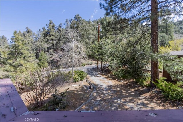 1725 Matterhorn Dr, Pine Mountain Club, CA 93222 - photo 25