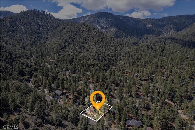 1725 Matterhorn Dr, Pine Mountain Club, CA 93222 - photo 17