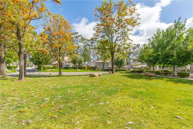 6523 E Camino Unit 2, Anaheim, CA 92807 - view of grassy yard