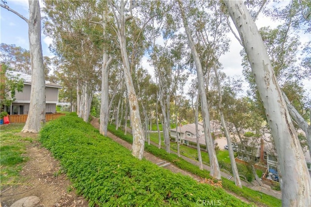 6523 E Camino Unit 2, Anaheim, CA 92807 - view of yard