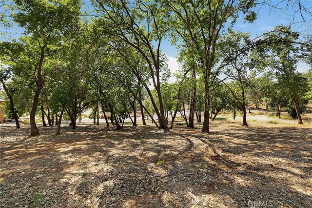 5760 Hollis Hill Dr, Paradise, CA 95969 - photo 8