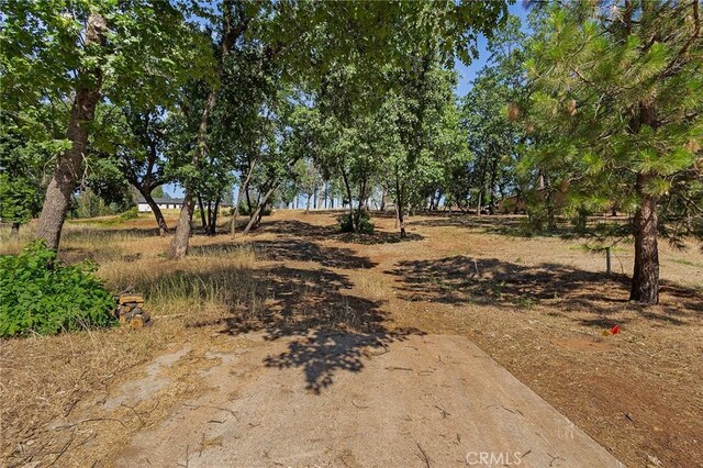 5760 Hollis Hill Dr, Paradise, CA 95969 - photo 4
