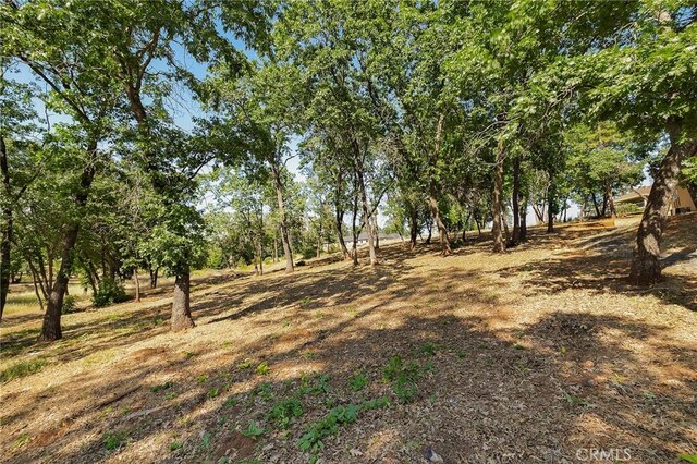 5760 Hollis Hill Dr, Paradise, CA 95969 - photo 9
