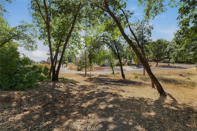 5760 Hollis Hill Dr, Paradise, CA 95969 - photo 6