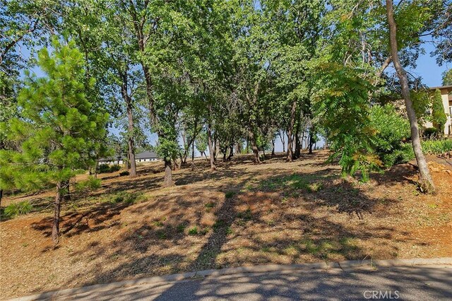 5760 Hollis Hill Dr, Paradise, CA 95969 - photo 2