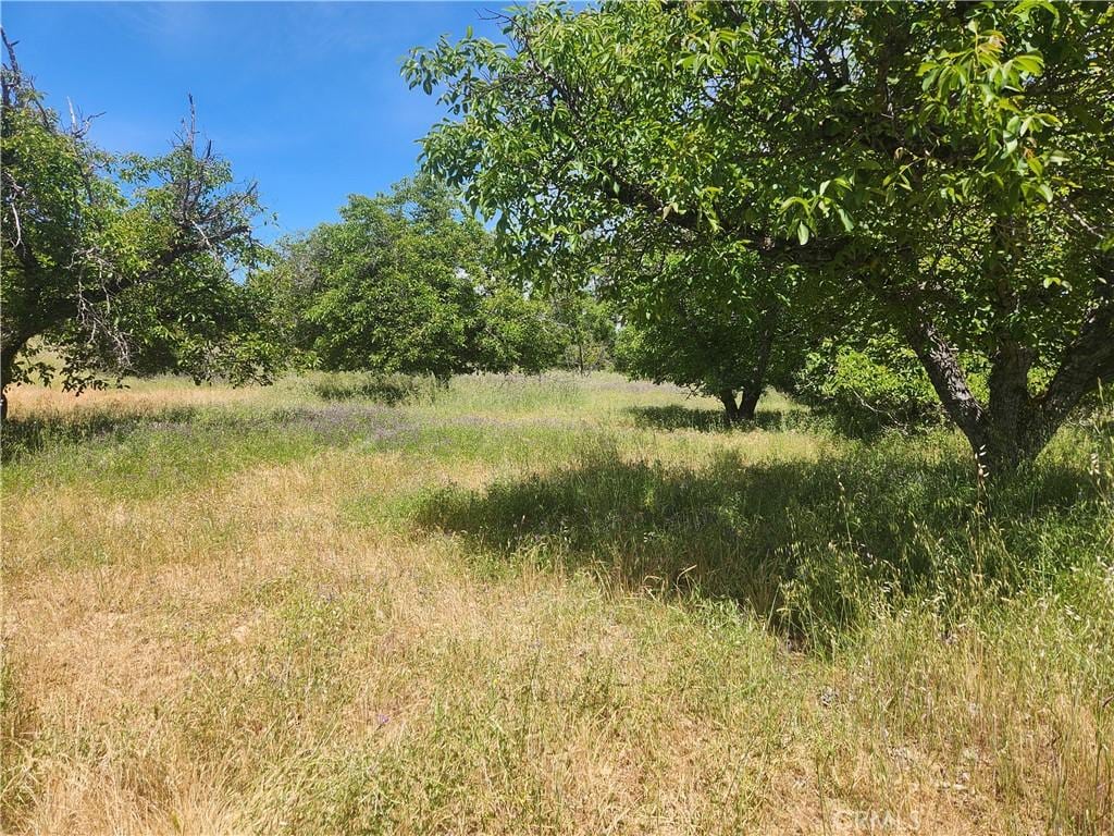 6755 Highland Springs Rd, Lakeport, CA 95453
