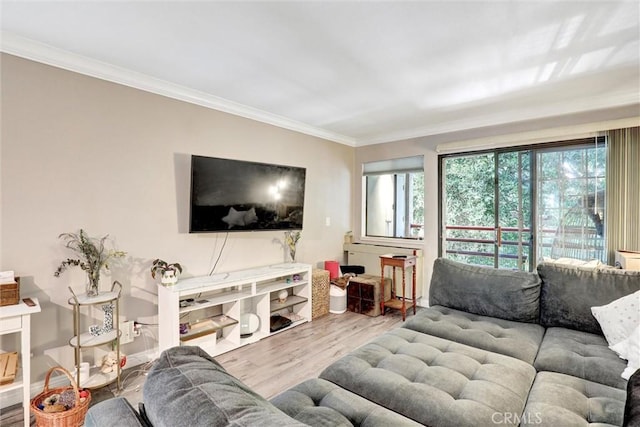 1118 Valencia St Unit 216, Los Angeles, CA 90015 - living area with wood finished floors and ornamental molding