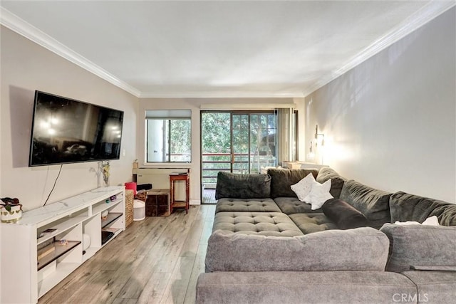 1118 Valencia St Unit 216, Los Angeles, CA 90015 - living room featuring light wood-style flooring and ornamental molding