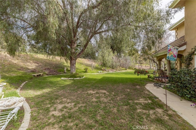 45975 Sandia Creek Dr, Temecula, CA 92590 - view of grassy yard