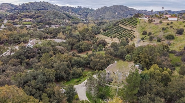 45975 Sandia Creek Dr, Temecula, CA 92590 - view of property location with a mountain backdrop and rural landscape
