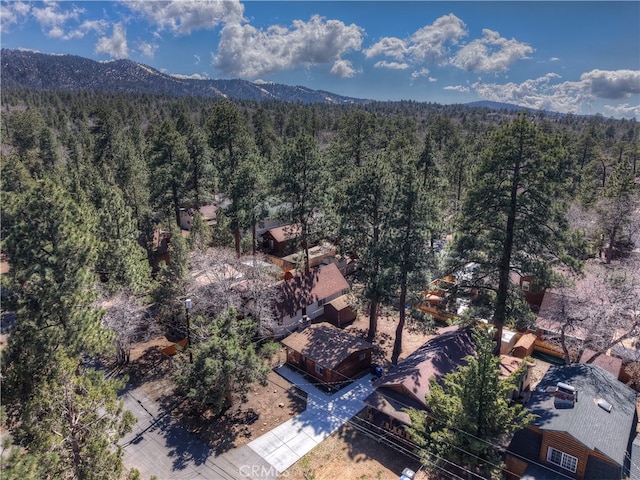 drone / aerial view of a forest and a mountain backdrop