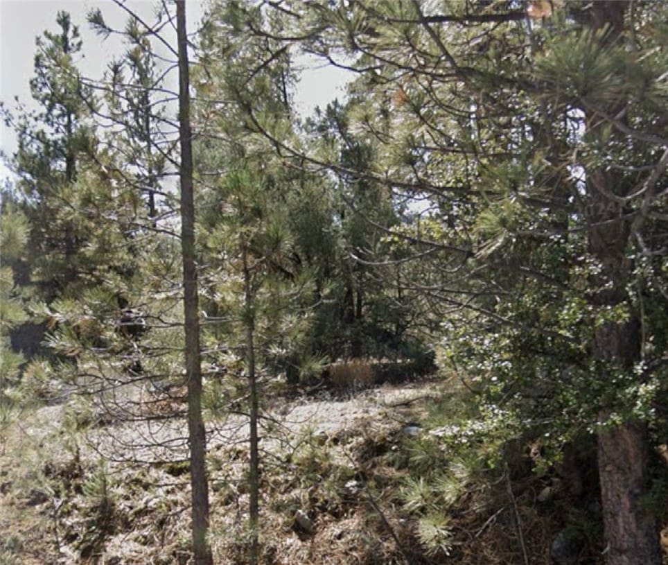 16021 Mil Potrero Fire Rd, Pine Mountain Club, CA 93222