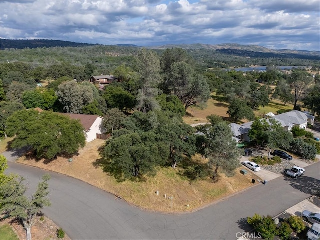 1 Celena Ct, Oroville, CA 95966