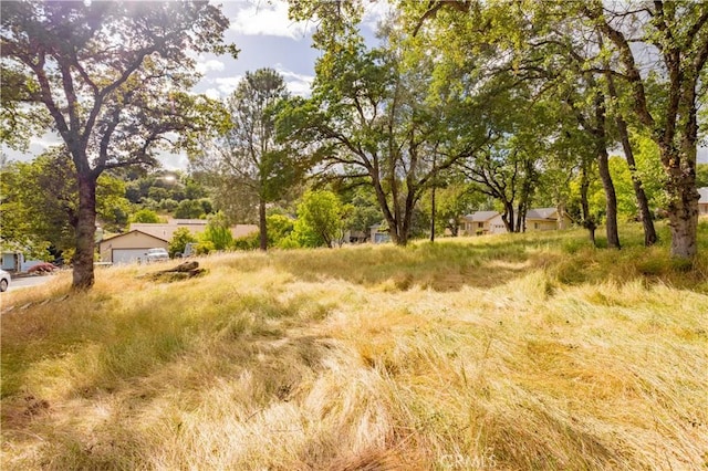 1 Celena Ct, Oroville, CA 95966