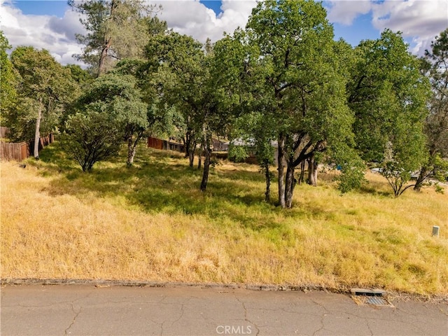 1 Celena Ct, Oroville, CA 95966