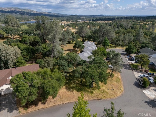 1 Celena Ct, Oroville, CA 95966