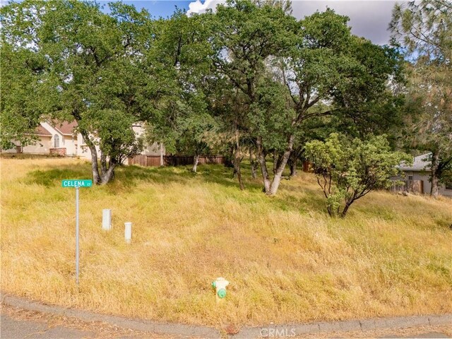 1 Celena Ct, Oroville, CA 95966
