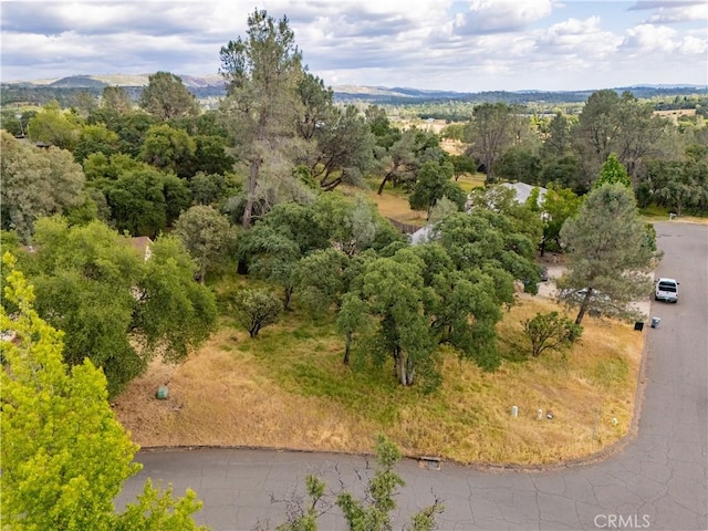 1 Celena Ct, Oroville, CA 95966