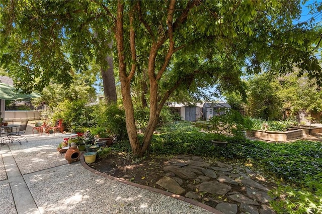 3123 Michael Way, Chico, CA 95973 - view of yard featuring a patio area