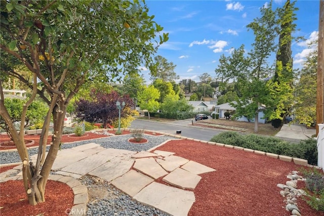 10708 Sable Ave, Sunland, CA 91040 - view of yard with a patio