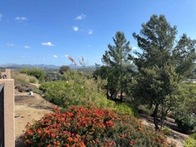 2307 Columbine Dr, Alpine, CA 91901 - view of yard