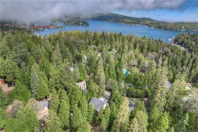 28589 Shenandoah Dr, Lake Arrowhead, CA 92352 - drone / aerial view of a forest and a nearby body of water