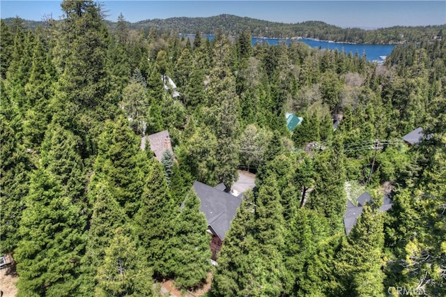 28589 Shenandoah Dr, Lake Arrowhead, CA 92352 - bird's eye view of a forest and a large body of water