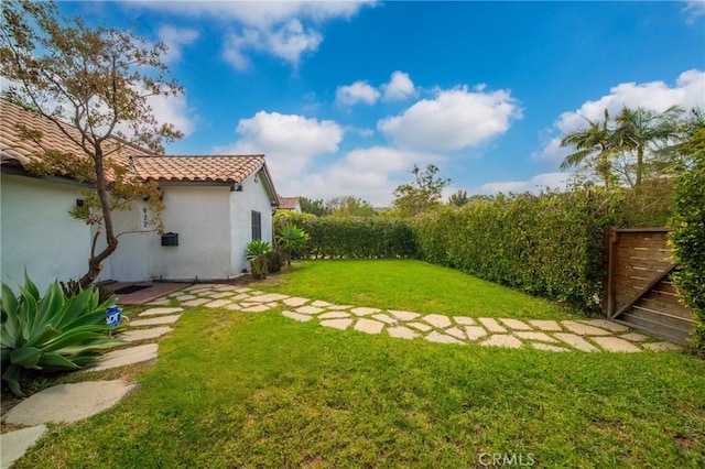 932 S Cloverdale Ave, Los Angeles, CA 90036 - view of yard
