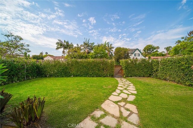 932 S Cloverdale Ave, Los Angeles, CA 90036 - view of yard