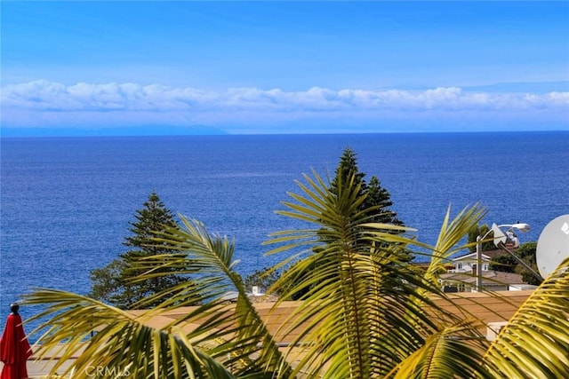 2955 Terry Rd, Laguna Beach, CA 92651 - photo 11
