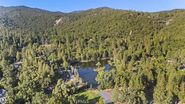 21599 Eel River Dr, Sonora, CA 95370 - photo 42
