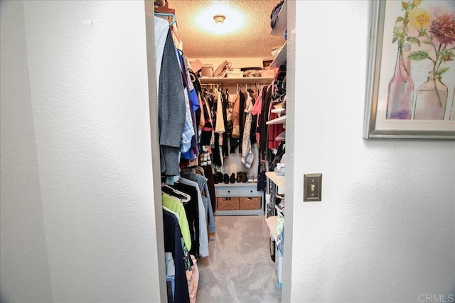 2157 Arnold Way Unit 821, Alpine, CA 91901 - walk in closet with carpet