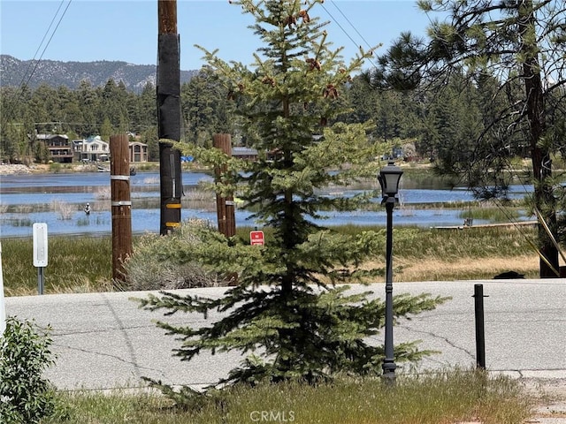 676 Cienega Rd, Big Bear Lake, CA 92315 - photo 33