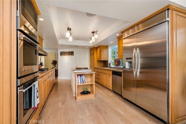 19151 Fowler Ave, North Tustin, CA 92705 - kitchen featuring stainless steel appliances, ornamental molding, a tray ceiling, open shelves, and light wood finished floors