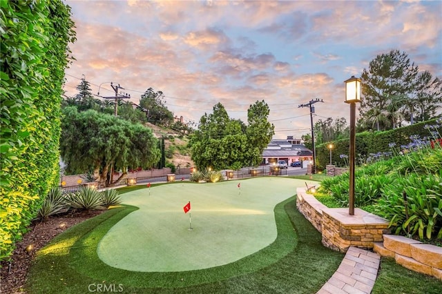 19151 Fowler Ave, North Tustin, CA 92705 - surrounding community with a putting area