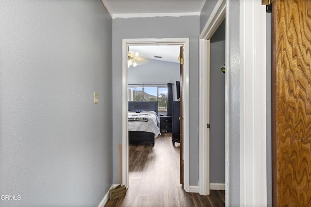 hallway with baseboards and dark wood-style floors