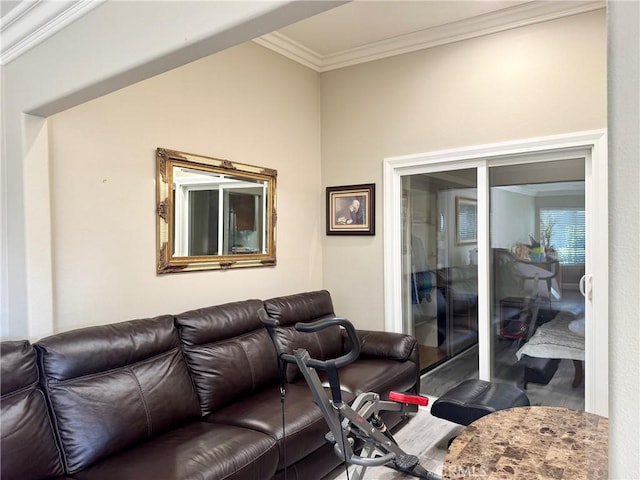 2147 Ronda Granada Unit A, Laguna Woods, CA 92637 - living area featuring crown molding and wood finished floors
