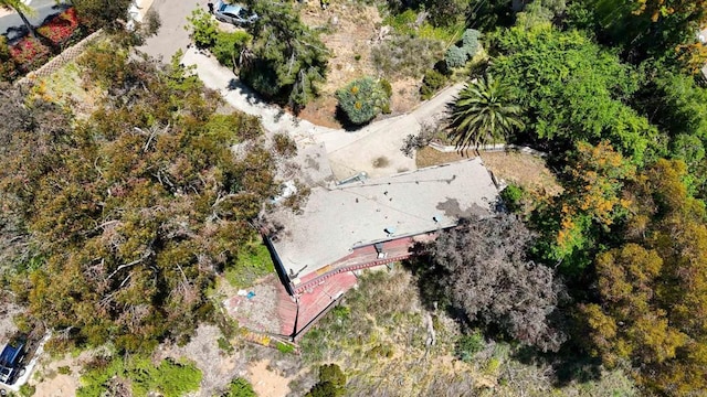 bird's eye view