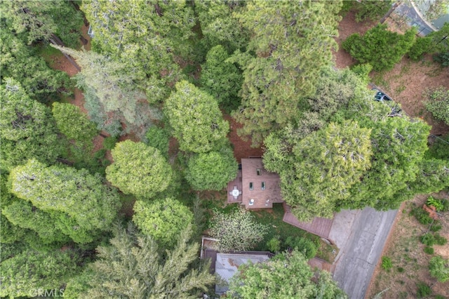 23776 Lakeview Dr, Crestline, CA 92325 - aerial view of property's location