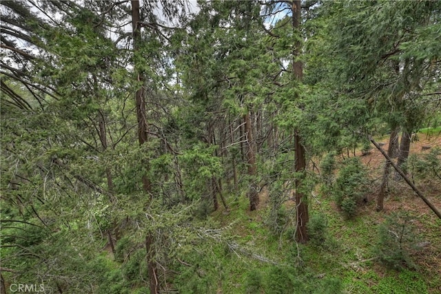23776 Lakeview Dr, Crestline, CA 92325 - view of wooded area