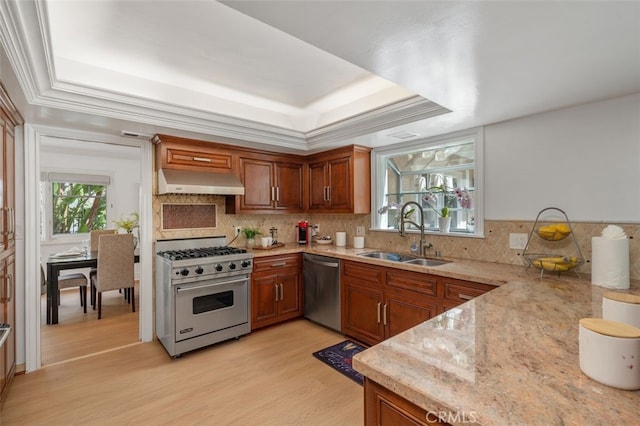 kitchen featuring appliances with stainless steel finishes, a sink, a tray ceiling, and light wood-type flooring
