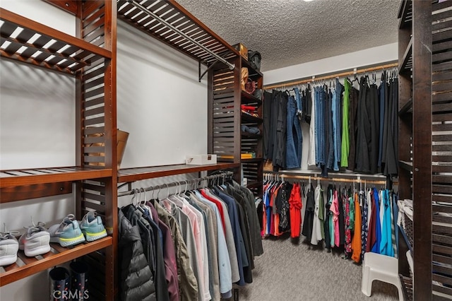 walk in closet with carpet floors