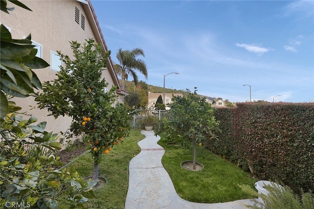 24632 Stagg St, West Hills, CA 91304 - view of yard