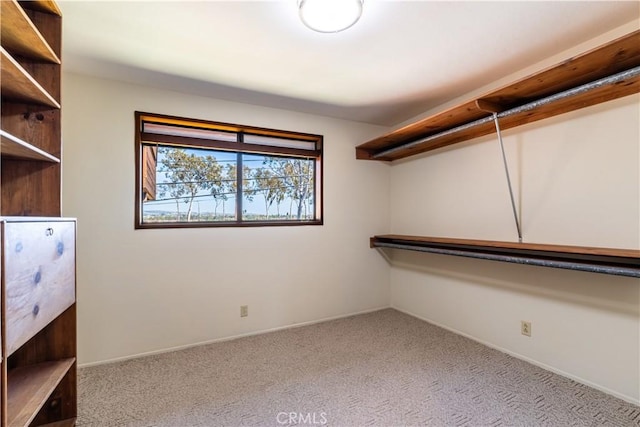 walk in closet featuring carpet floors